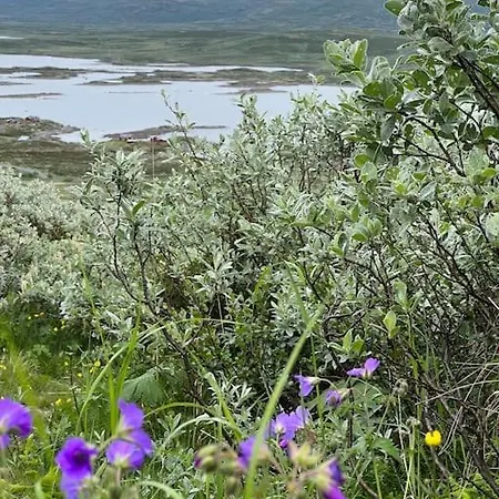 Sentralro Feriehus *